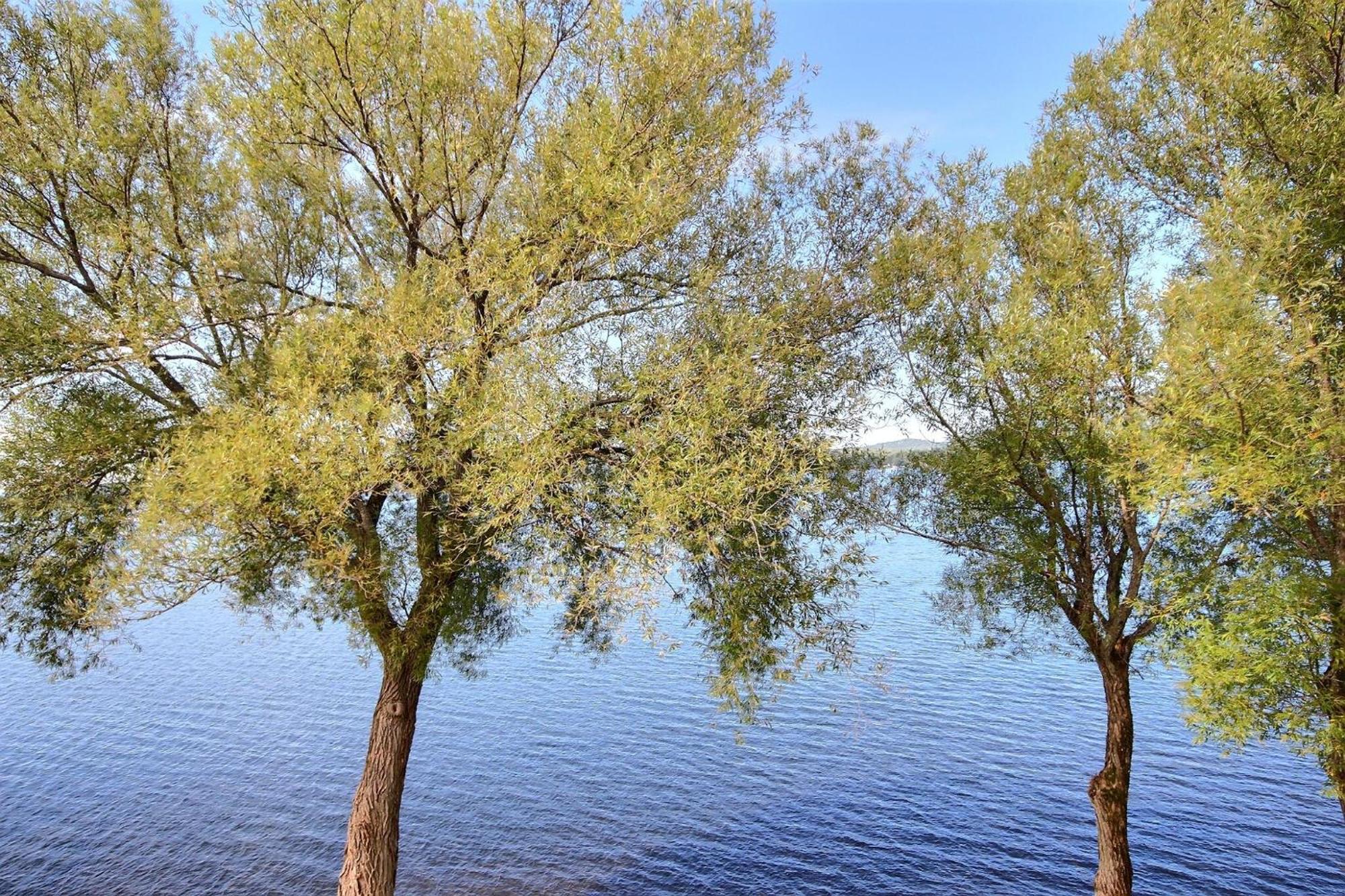Location Tourisme Estrie - Oberge Du Village Magog Exteriör bild